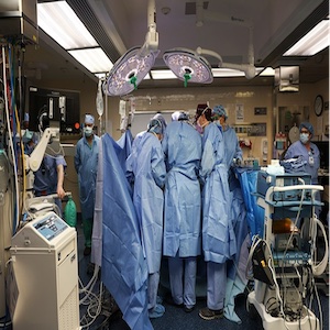 جراحون في مدينة بوسطن بولاية ماساتشوستس الأمريكية يجرون أول جراحة لزراعة كلية خنزير في شخص حي.